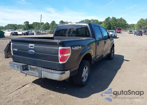 2010 Ford F-150 Xl/Xlt from USA, damaged, VIN 1FTEW1E85AFA90379